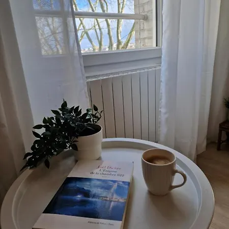 L'echappee Belle, Proche Gare * Mulhouse